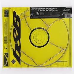 POST MALONE - BEERBONGS &...